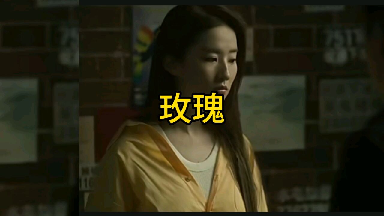 玫瑰到底好不好