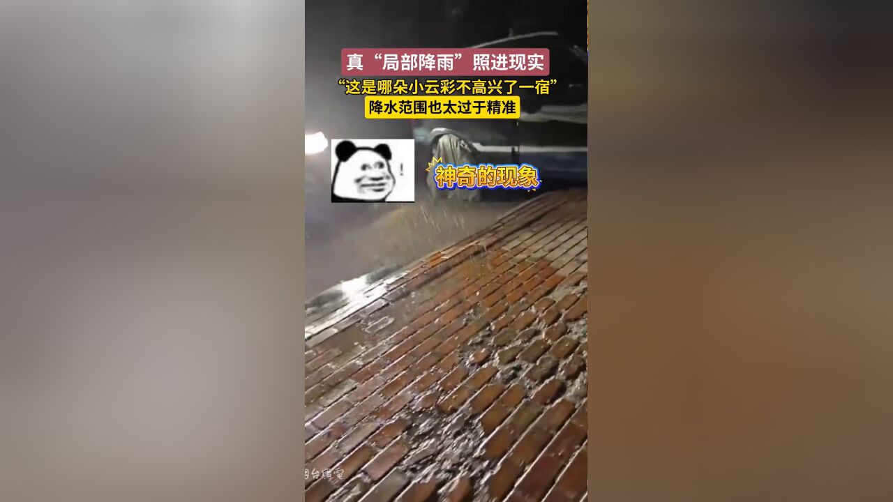 真“局部降雨”照进现实,这是哪朵小云彩不高兴了一宿啊!