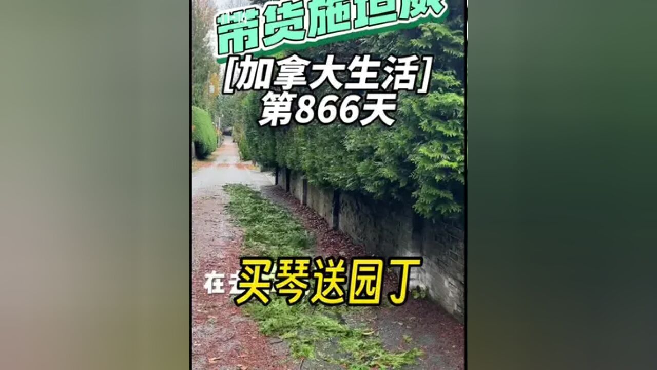 《买施坦威钢琴送修剪花园》 加拿大生活|第866天,买二手施坦威钢琴占大便宜,还负责运输与首次调率休整,再送一次花园修剪.