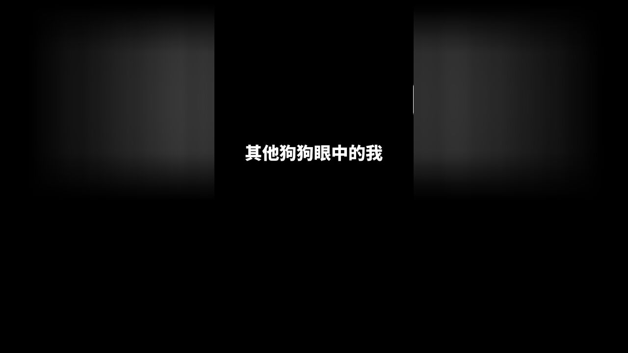 你们眼中的警犬是什么样?