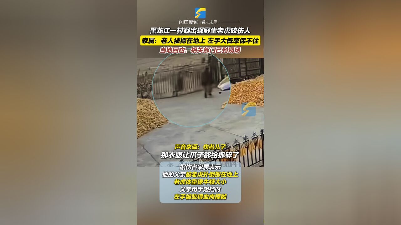 黑龙江一村疑出现野生老虎咬伤人 家属:左手被咬烂大概率保不住