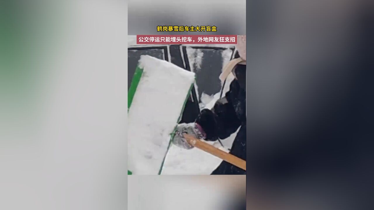 鹤岗暴雪后车主大开盲盒,公交停运只能埋头挖车,外地网友狂支招