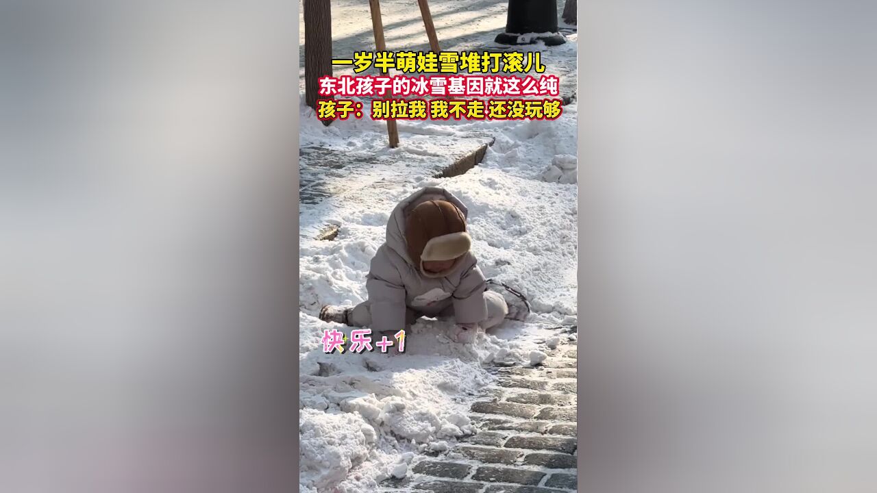 一岁半萌娃雪堆打滚儿,东北孩子的冰雪基因就这么纯!