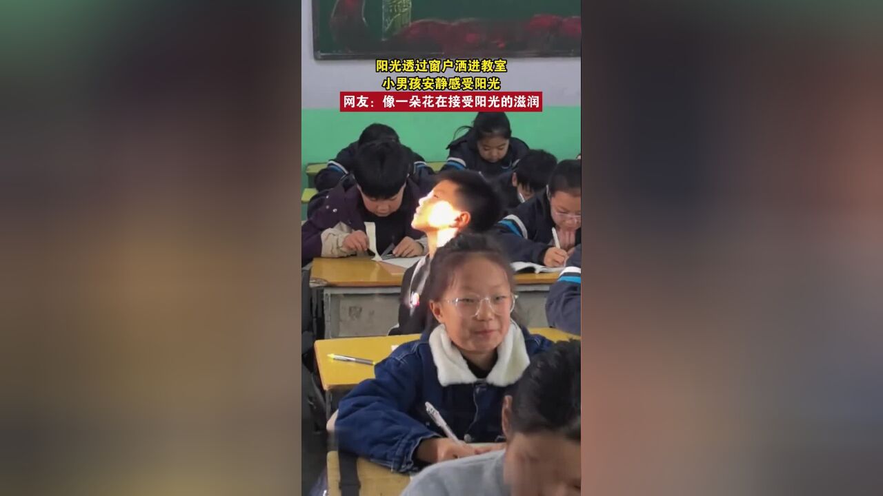 阳光透过窗户洒进教室,小男孩安静感受阳光,网友:像一朵花在接受阳光的滋润