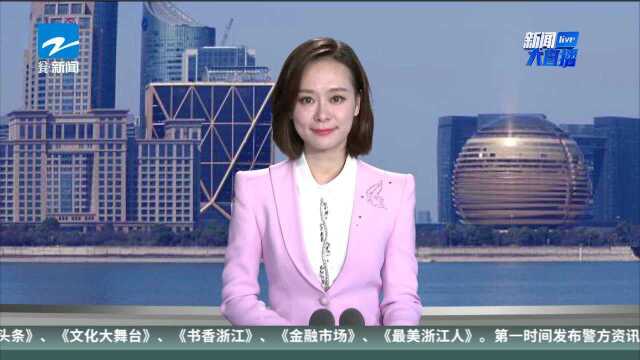 法国公司数字重建中东古城