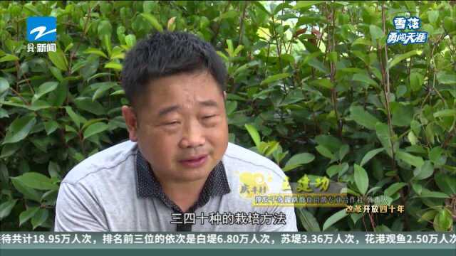 改革开放四十年 乡村振兴看浙江(七) “傻子”王建功