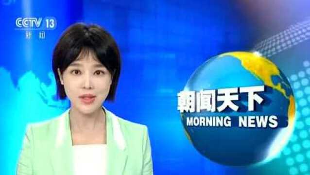 交通运输部ⷮŠ网约车监管平台 已收到49家公司运营数据