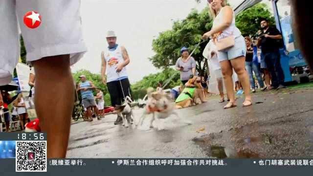 巴西:里约狂欢节开幕 热情桑巴“点燃”雨夜