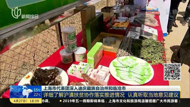 上海市代表团深入迪庆藏族自治州和临沧市