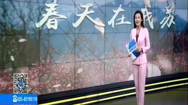 互动征集:春天在我苏——风光旖旎玄武湖