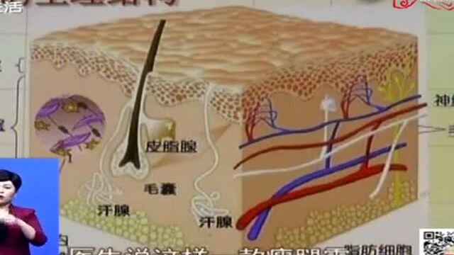 产品夸大其词 切勿轻易相信