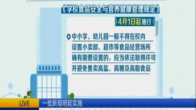 一批新规明起实施:中小学、幼儿园建立学校负责人陪餐制度