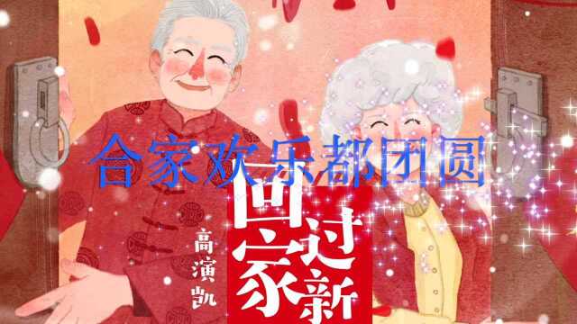 回家过新年