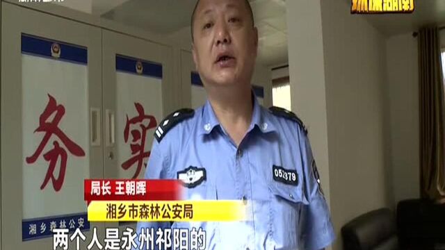 湘潭捣毁“卫星定位”非法狩猎团伙:三名租房男子行迹可疑 警方盘查发现“猛蛇满屋”