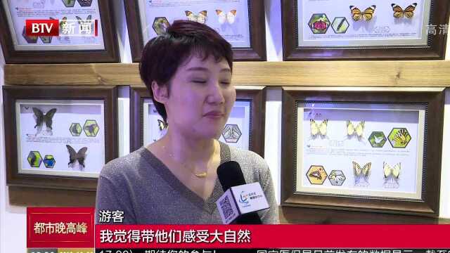 国庆假期赏金秋美景 玉渡山秋色正当时