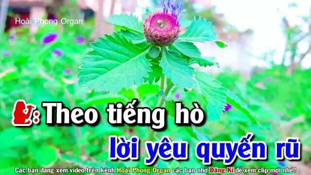 Hạnh Ph㺣 Quanh 䐃⹠ Song Ca