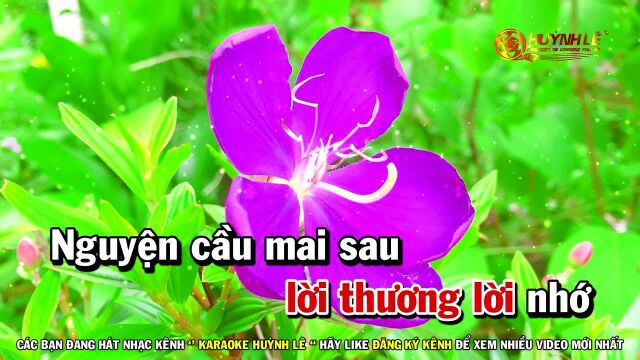 Xin Y㪮Šu T㴩 Bằng Cả T㬮h Ng氡𛝩  Tone Nữ