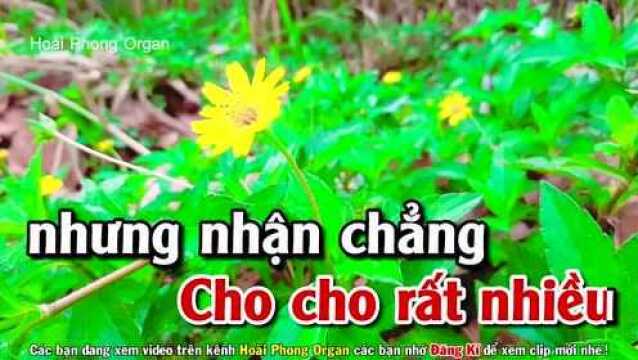 䐡𛫮g N㳩 Xa Nhau  Tone Nữ Phối Mới