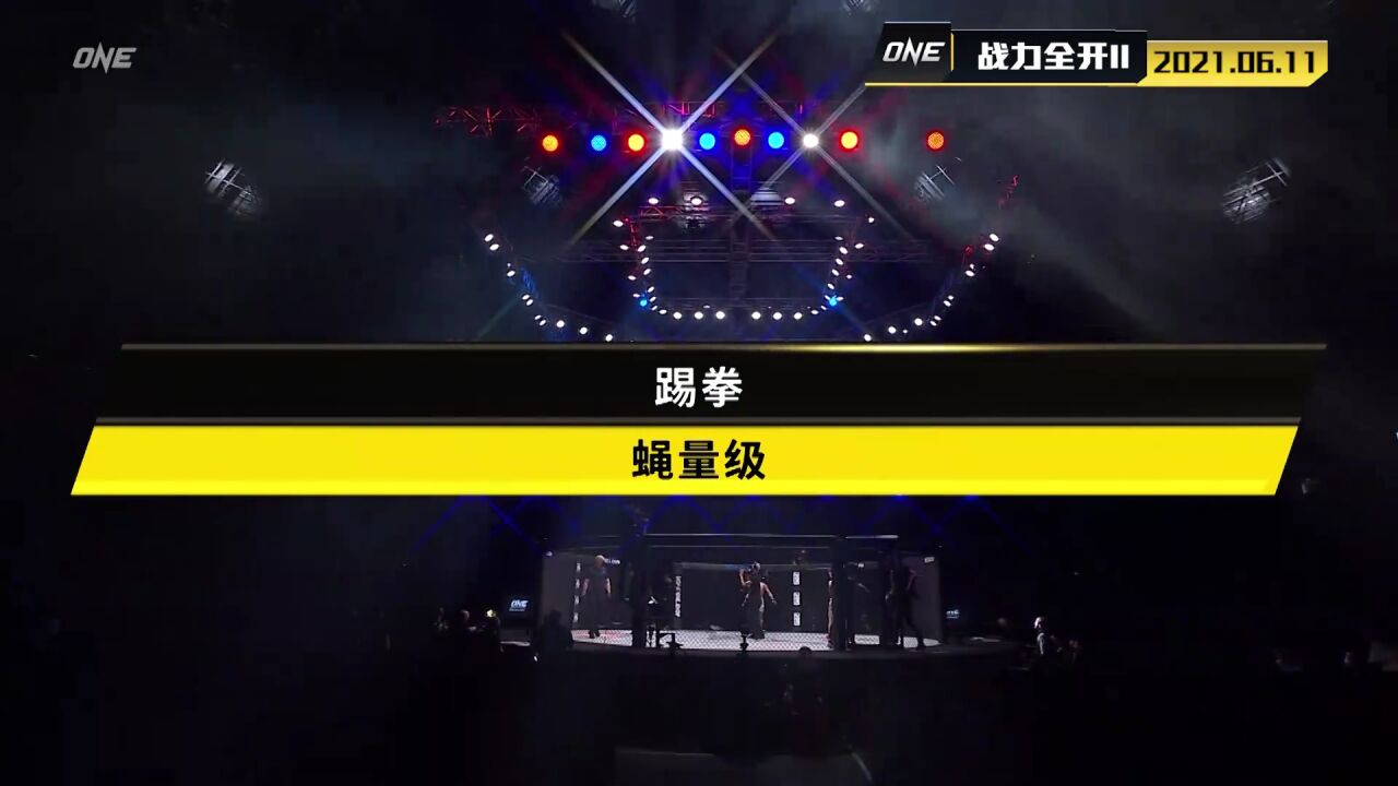 【回放】ONE冠军经典赛第25期战力全开:王文峰vs内藤大树