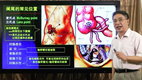 武汉大学：临床解剖学