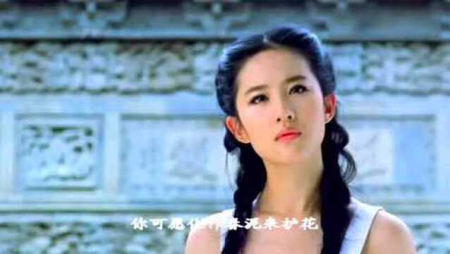 陈瑞一首《新女人花》好听醉了