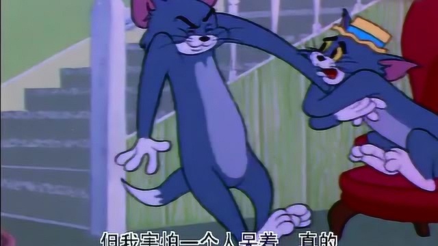 猫和老鼠之胆小的猫咪