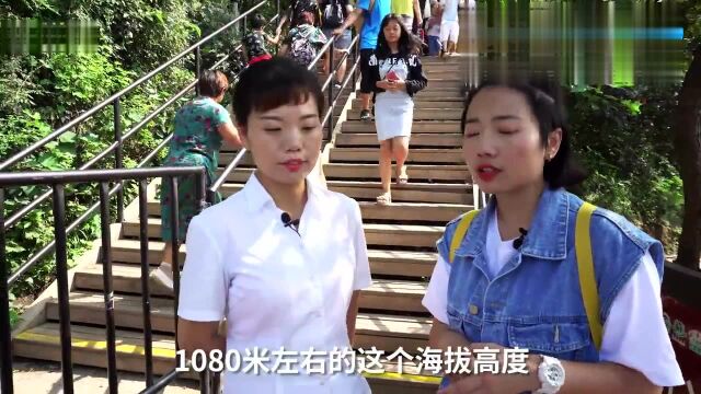 1080米云台山高空玻璃栈道, 恐高游客吓到腿软