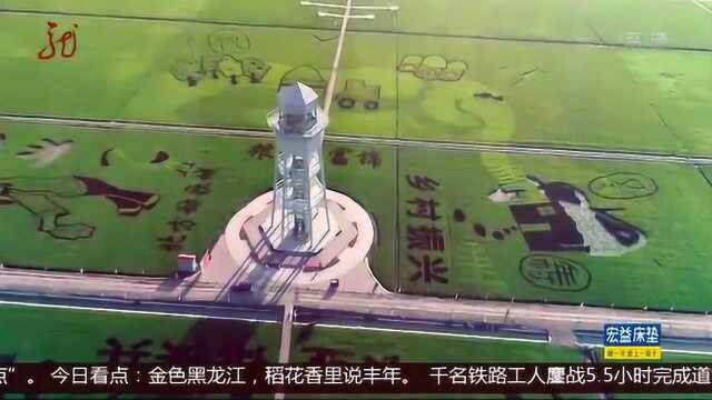 金色黑龙江,粮都富锦 中国人吃的大米大多产自这个地方