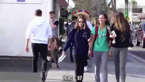 Thumbplayer Poster Plugin Image