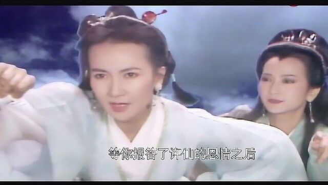 新白娘子传奇:小青不愿受许仙的气,赌气回清风洞