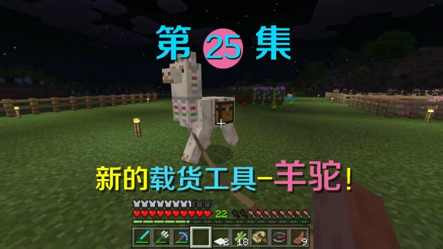 我的世界25:出外探险运回来一只羊驼,才发现它有这个神奇用处!