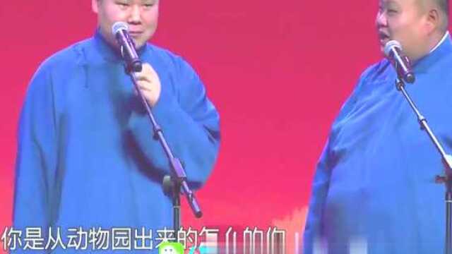 岳云鹏孙越相声义妖传,小白蛇带着小绿蛇去报恩