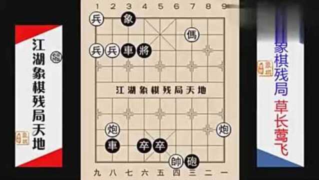 让人苦思冥想,吸引力太大,众棋友跃跃欲试草长莺飞,春光无限