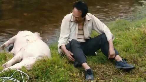 一家人想吃肉，连别人家的猪也敢杀，这下惨了 - 腾讯视频