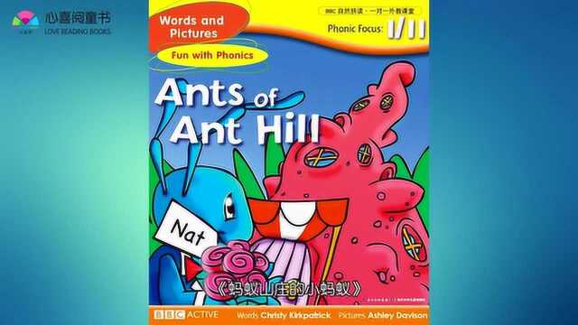 19 ants in ant hill