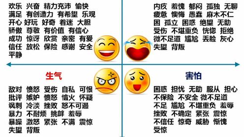 微课第一讲《如何引导孩子的负面情绪》