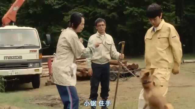 这田园犬也是堪比泰迪的神犬《哪啊哪啊神去村》