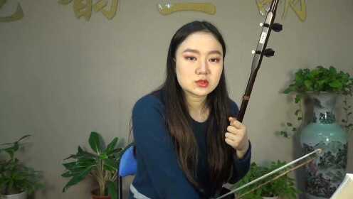龙韵小蔡老师二胡视频教学之《月夜》