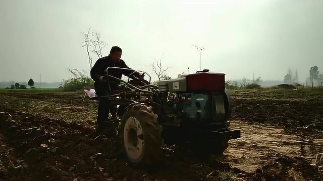 80年代犁地全靠它,这种手扶拖拉机犁起地来真不慢,大爷说太累