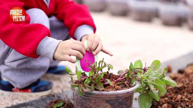 玩无界幼儿园秋游纪录片南艺传媒