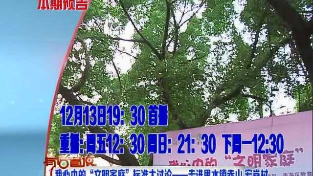 我心中的“文明家庭”标准大讨论——走进里水镇赤山 宏岗村 预告