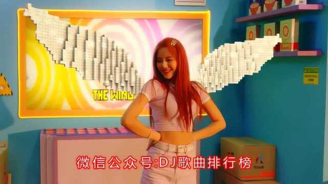 刘馨月《到哪里找我这么好的人》DJ版