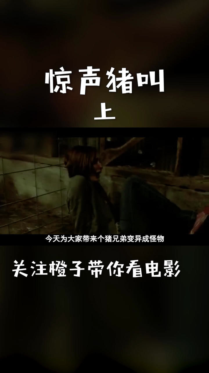 欢迎收看电影惊声猪叫上