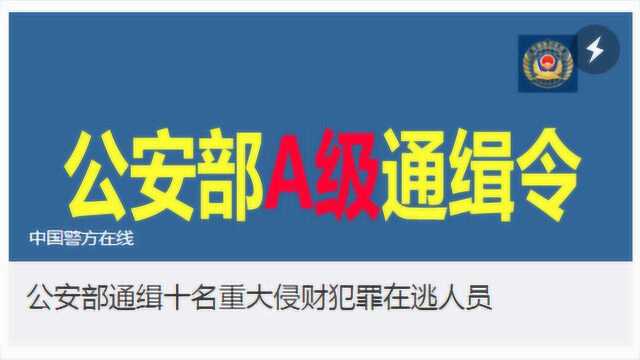 A级通缉令!公安部通缉十名重大侵财犯罪在逃人员