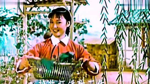 1965湖南花鼓戏电影《打铜锣补锅》插曲《野菊花》演唱:李谷一