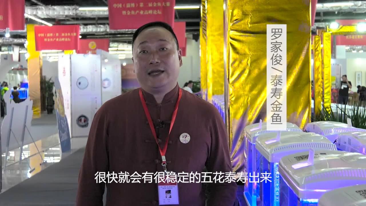 听罗家俊先生讲泰寿金鱼