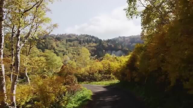 日本东京的秋天,有你不能错过的风景