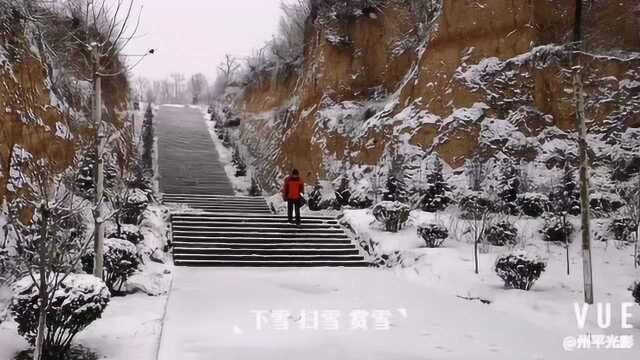 下雪,扫雪,赏雪,喜鹊踏枝处,瑞雪兆丰年