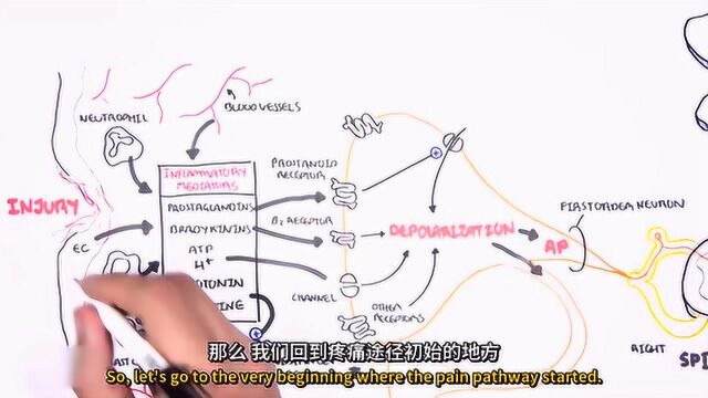 药理学是研究药物与机体间,相互作用规律的一门科学