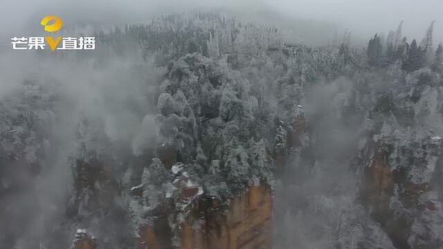 张家界:天子山大雪纷飞 ,低温雨雪冰冻天气对旅游没有造成大影响